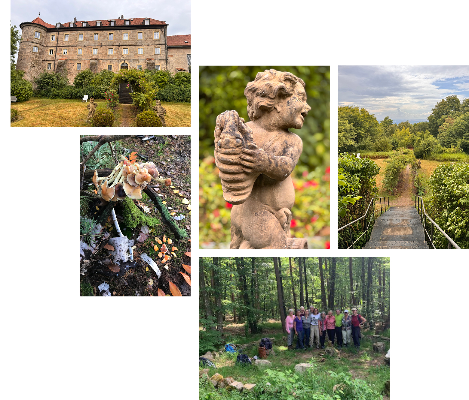 suse-schumacher-herbst25-collage
