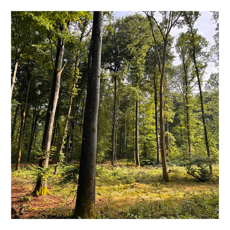 suse-schumacher-frueling-begruessen4