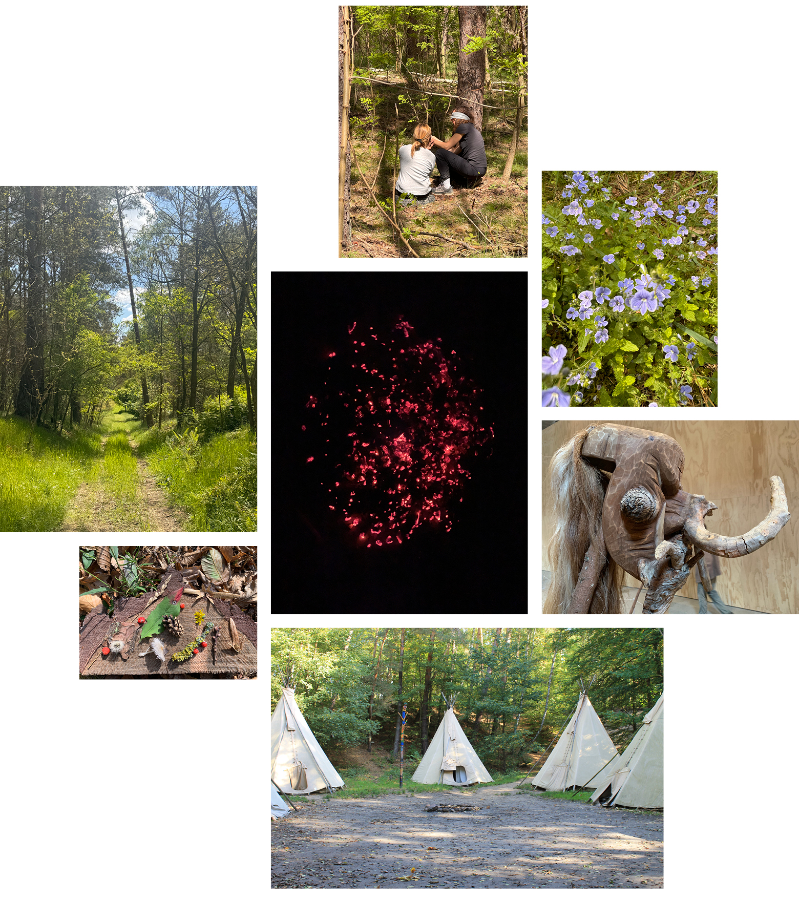 suse-schumacher-workshop-2026–der-weg-der-gruenen-hexe-4