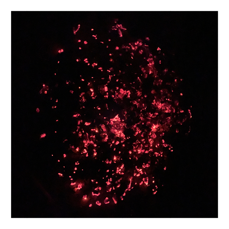 suse-schumacher-workshop-2026-grune-hexe-6