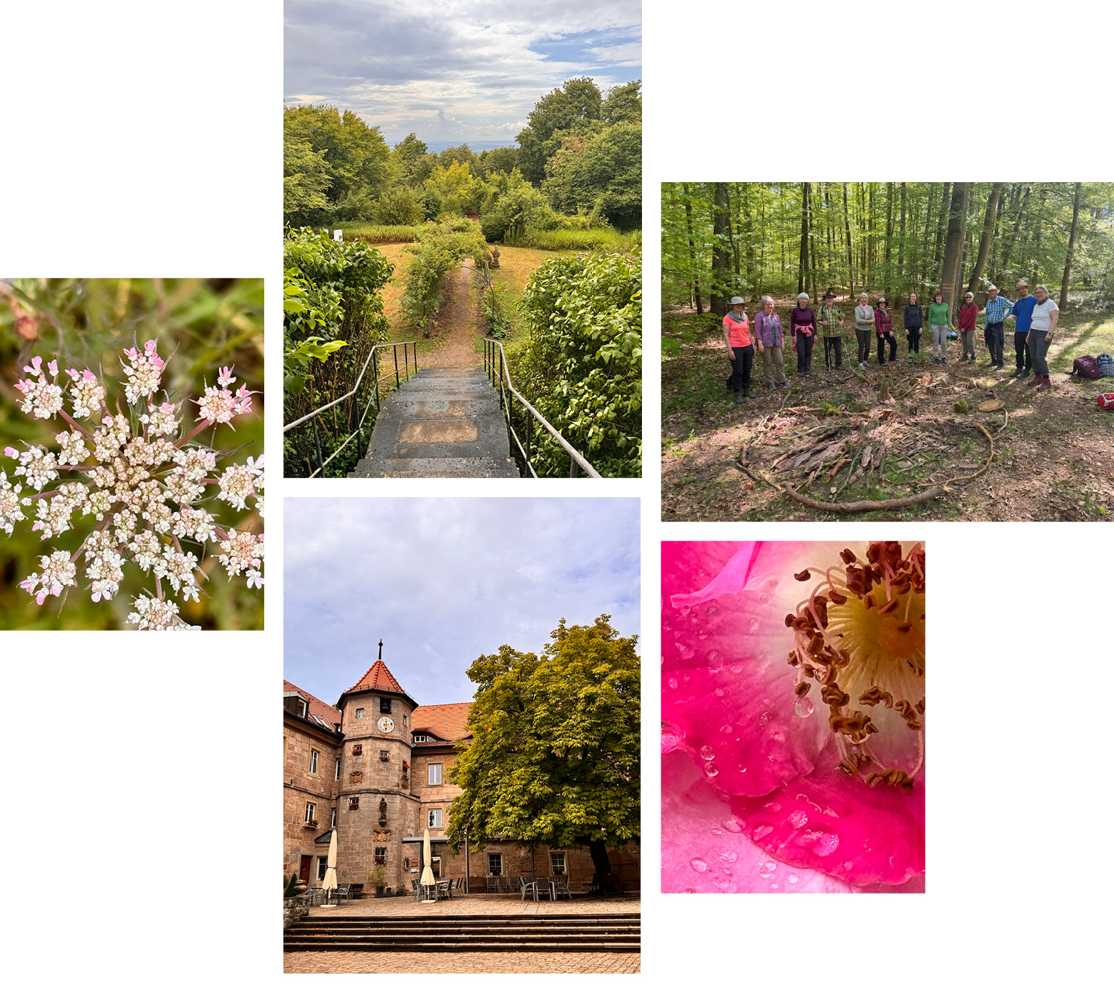 suse-schumacher-waldcoaching-fruehling-schwanberg3